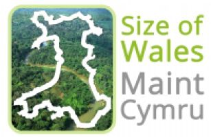 Size of Wales logo